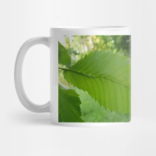 Green leaf Mug
